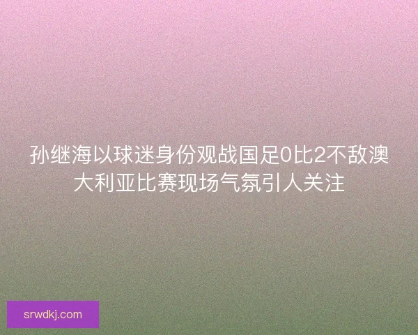 孙继海以球迷身份观战国足0比2不敌澳大利亚比赛现场气氛引人关注